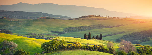 Rolling Tuscany landscape at sunset (Val D'orcia, Italy).