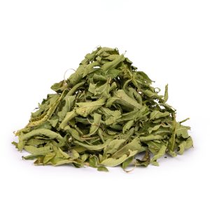 Verveine Officinale
