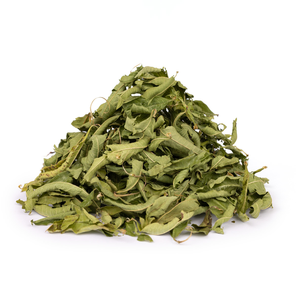 Verveine Officinale